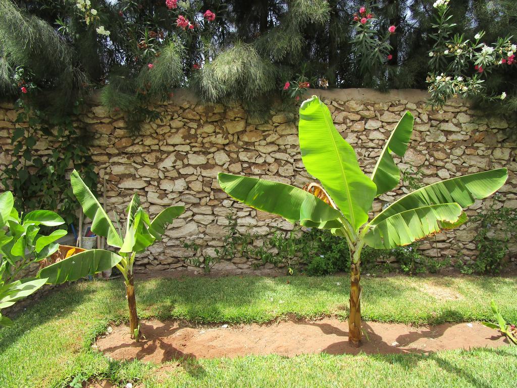 La Maison Des Ailleurs As-Sawíra Exteriér fotografie